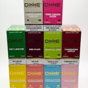 Dime 2G Disposable