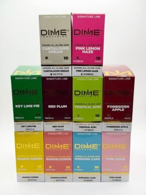 Dime 2G Disposable